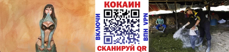 купить наркотики цена  Салават  mega рабочий сайт  COCAIN Боливия 