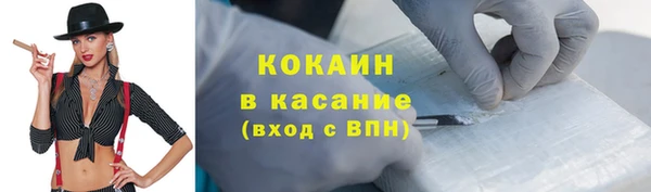 хмурый Абаза
