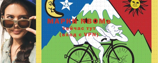 хмурый Абаза