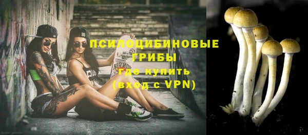 дживик Алексин